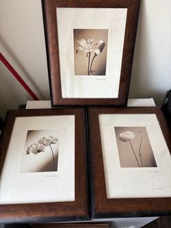 Home Decor