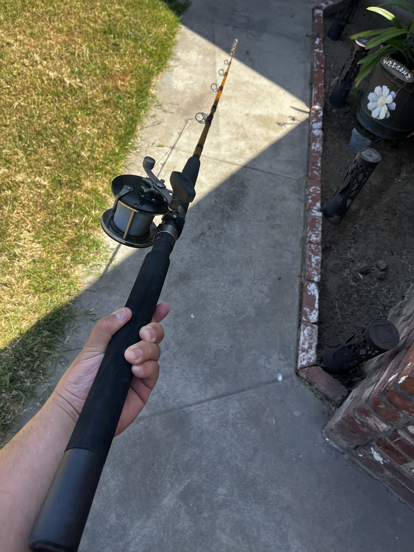 Fishing Rod And Reel