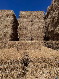 Hay