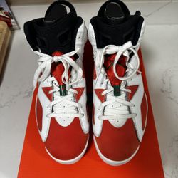 Jordan “Gatorade” 6s Size 11