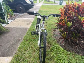 Trek 24” Bicycle