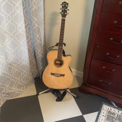Tagima guitar