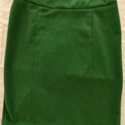 Green New York & Company Size 0 Pencil Skirt