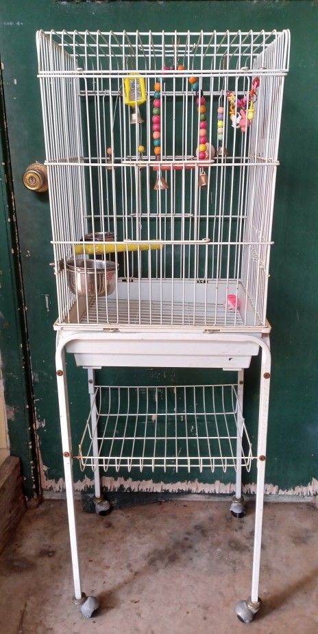 Bird Cage