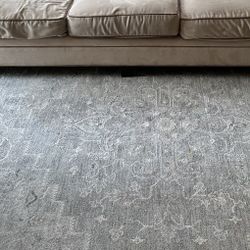 Cozy Area Rug 