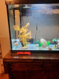 50 Gallon Fish Tank/terrarium With Solid Wooden Stand Thumbnail