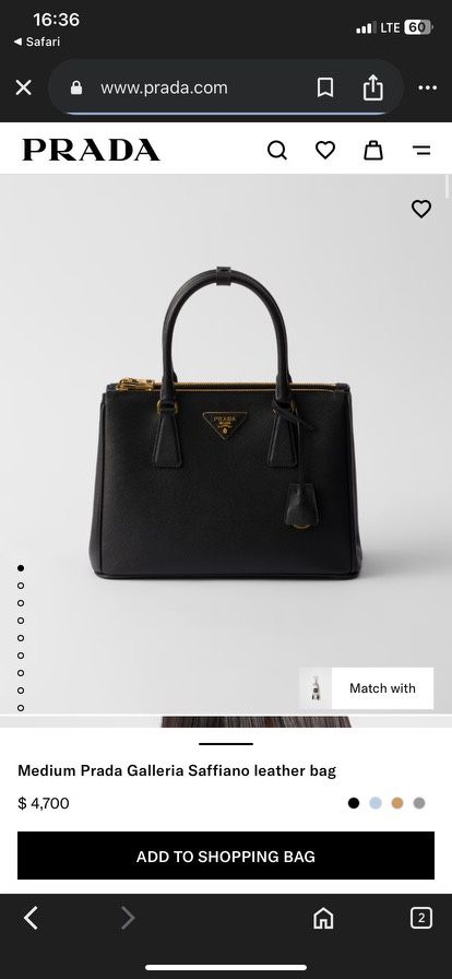 Prada Bag