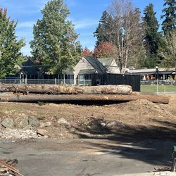 Dug Fir Firewood