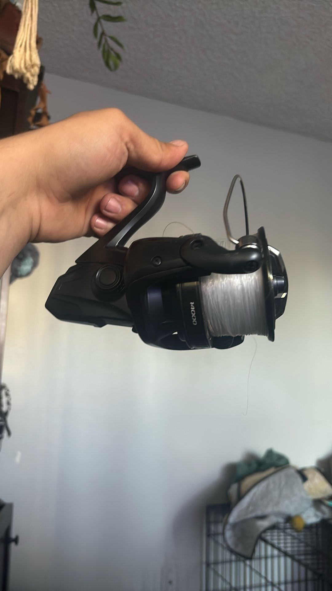 Shimano Surf Fishing Reel