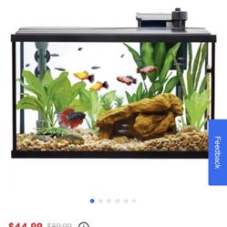 fish tank 