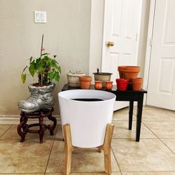 Plantes Stands - All In The Pictures For $55