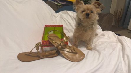 Tory Burch authentic. 9.5
