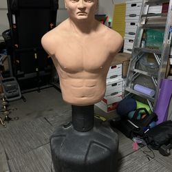 Century Bob Torso Training Bag 