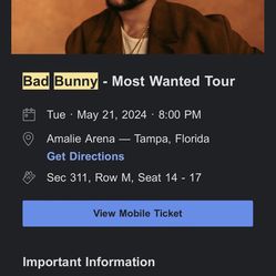 Bad Bunny Concert Tampa, Florida