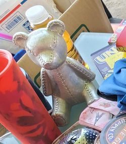 Coin teddy bear collector