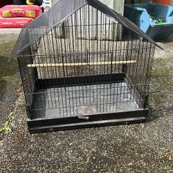 Bird Cage