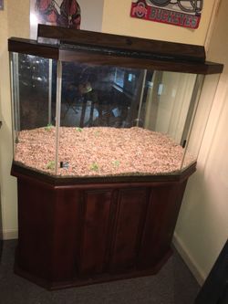 Half hexagon aquarium for Sale in Obetz OH OfferUp