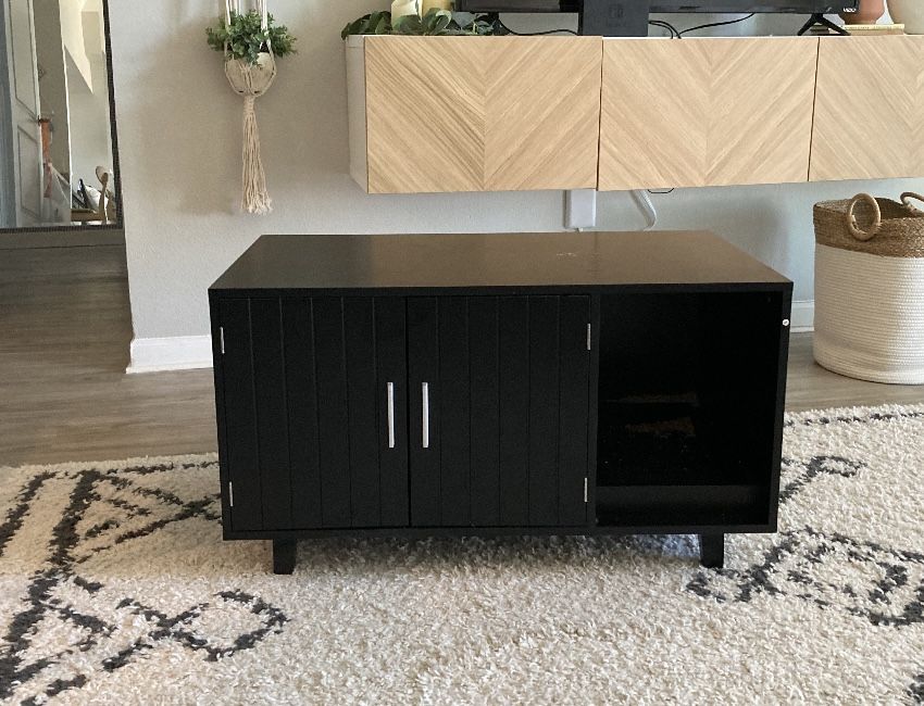 Hidden Litter box