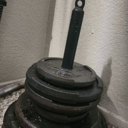 Workout Equip  Weights Dumbbells 