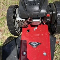 Push Weed Eater