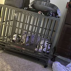 Metal Sturdy Dog Crate
