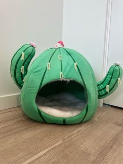 Cat house or bed :)