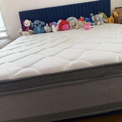 Bed Mattress And Bed Frame 