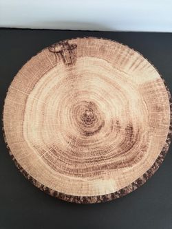 Wood Log Slice Realistic Soft  Foam Pillow