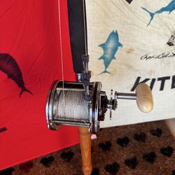 Fishing kite pole with two kites