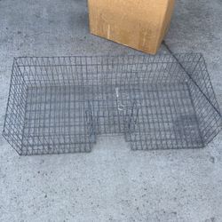Pigeon Traps 
