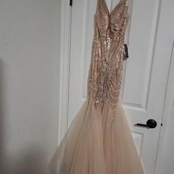 Party/Prom Dress