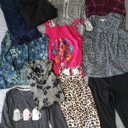 Variety Of Women's Clothes, Size Large! Animal Print Dress, Black Pants, Collection Of Tops & Sweaters! Price For All!