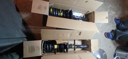 Complete Strut Assembly Pair