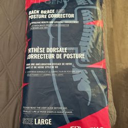 Back And Posture Brace