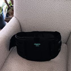 Aspen Vista Medical Back Belt