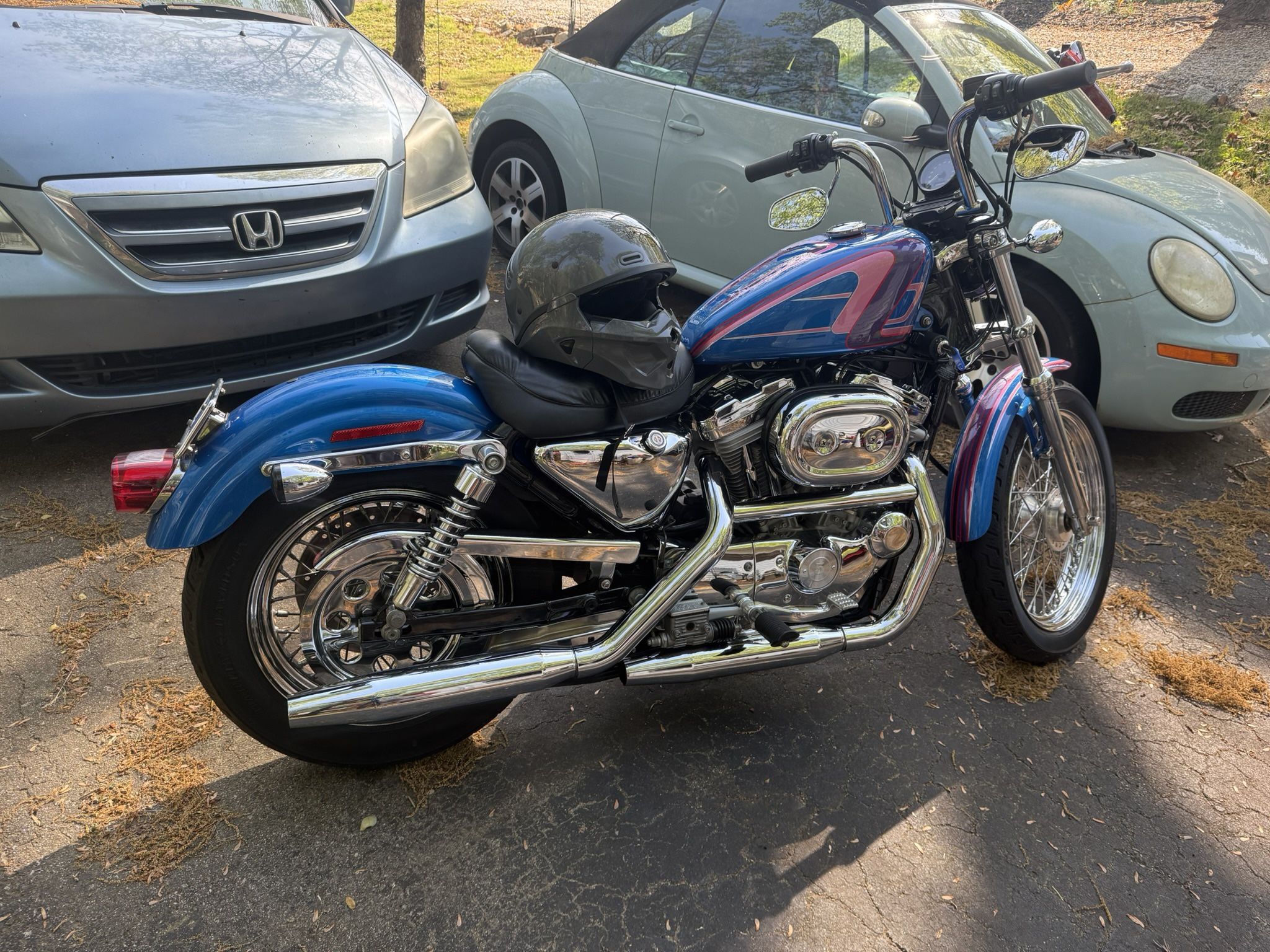 2002 Sportster 883xl Custom