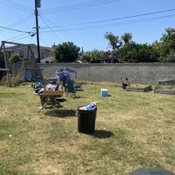Clean Ups Services 🌳🌴🪵🌿🌱🍁🍂🍃