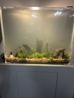 65 Acrylic Aquarium Corner