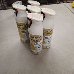 5 Flat White Spray Paint