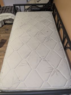 Twin mattress, box spring and frame