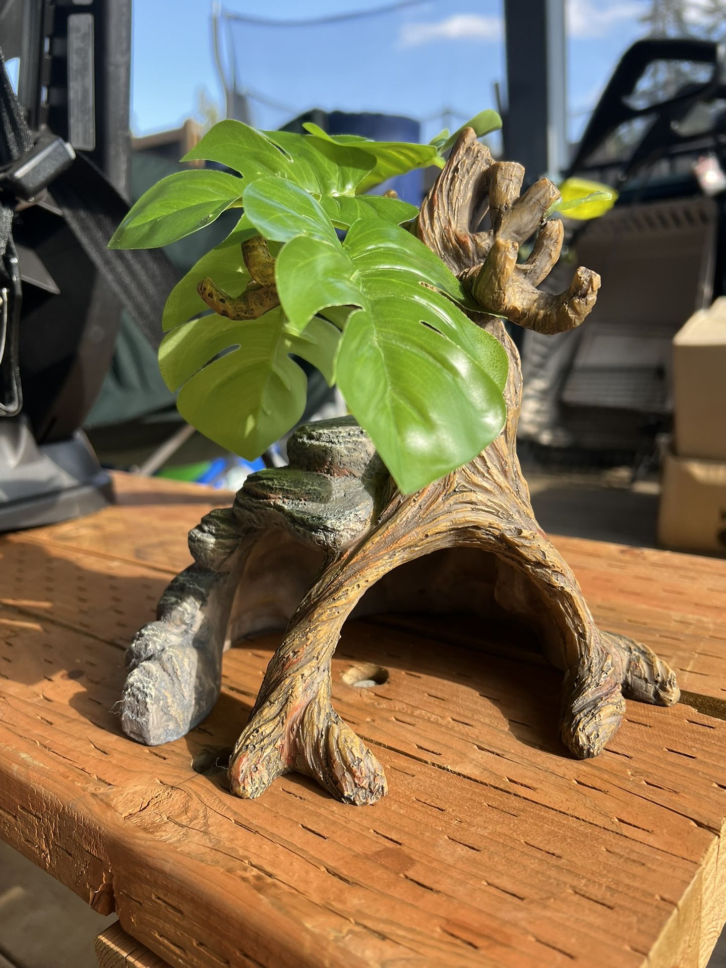 Reptile Snake Lizard Animal fairy Home