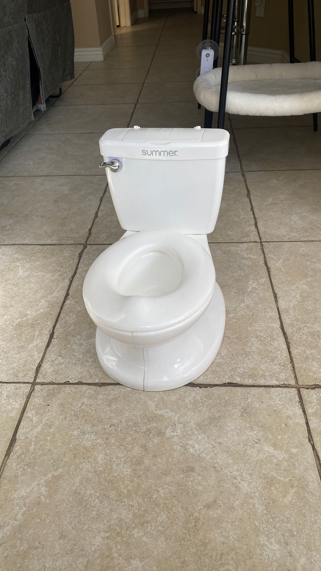 Toddler Toilet