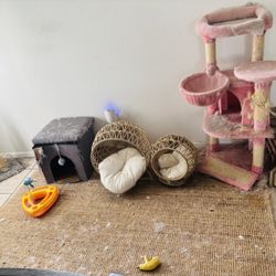 Cat Stuff FREE MUST TAKE EVERYTHING