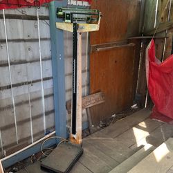  Vintage Medical Height And Scale