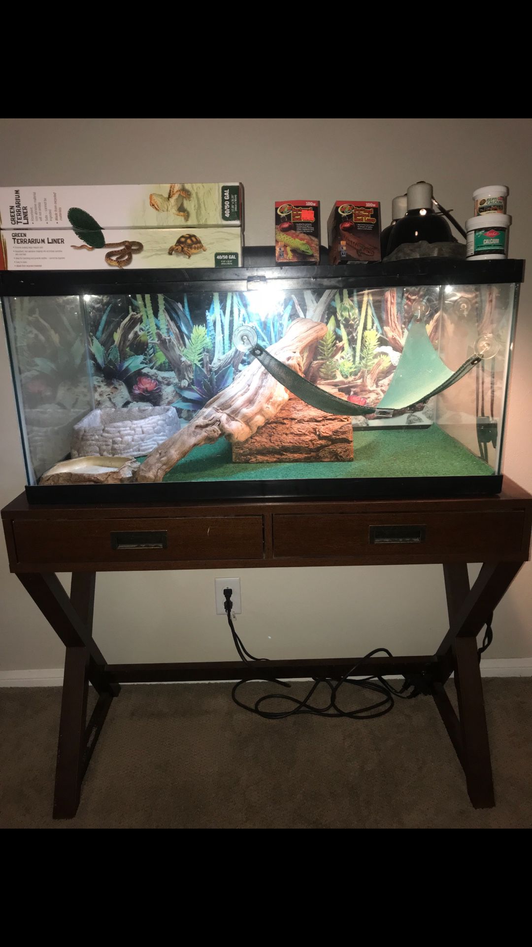 Fully ready reptile setup!