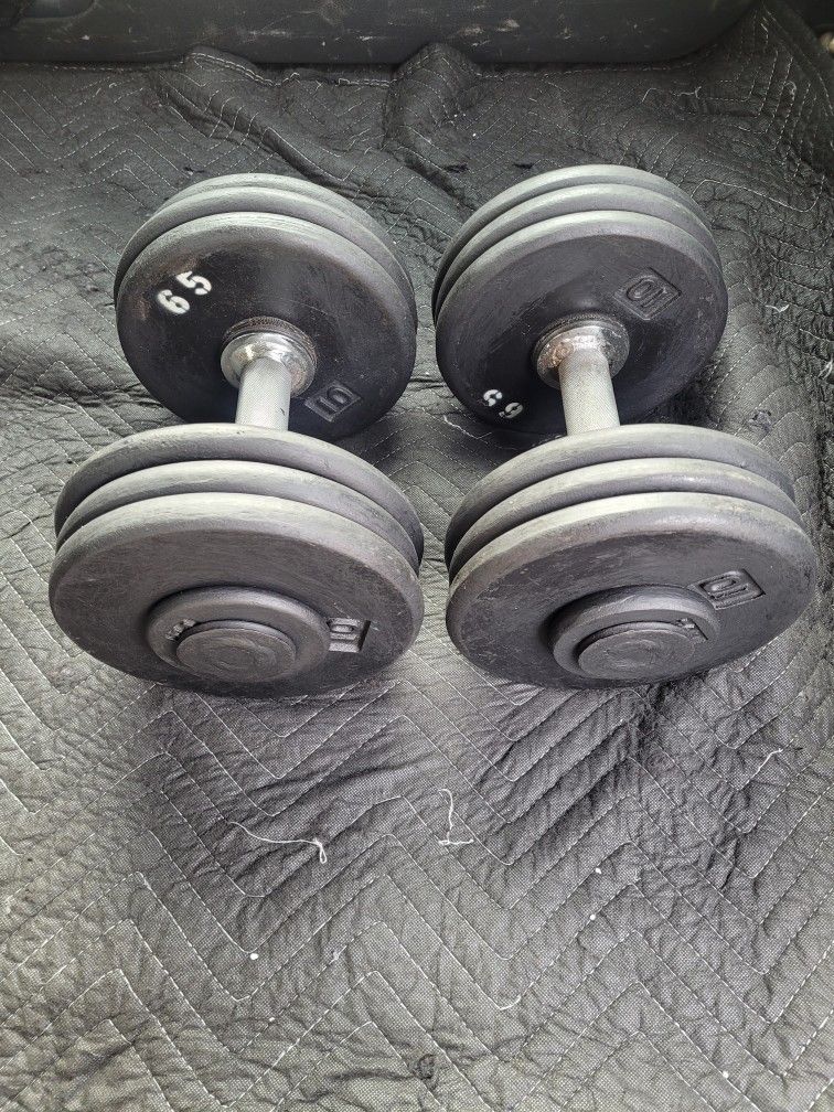 65lbs Dumbells Weights