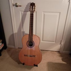 Cordoba C5 Classical Guitar With Roadrunner Gig Bag 
