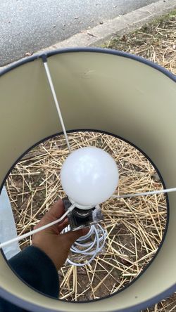 Table Lamp with Drum Shade
