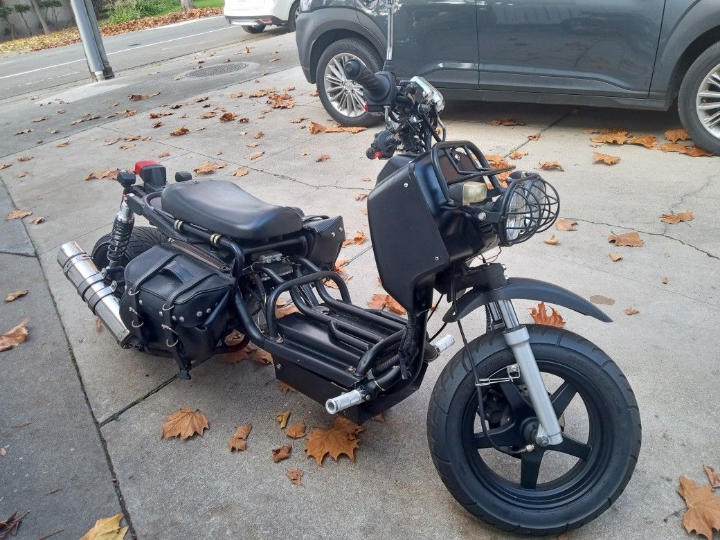 2020 Daix IceBear Maddog