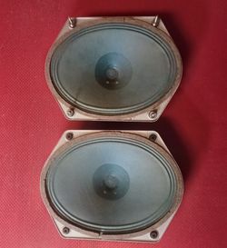 Pair Saba Greencone Alnico Oval speakers / drivers - 5898.570.002 ~20cm / 8 in.